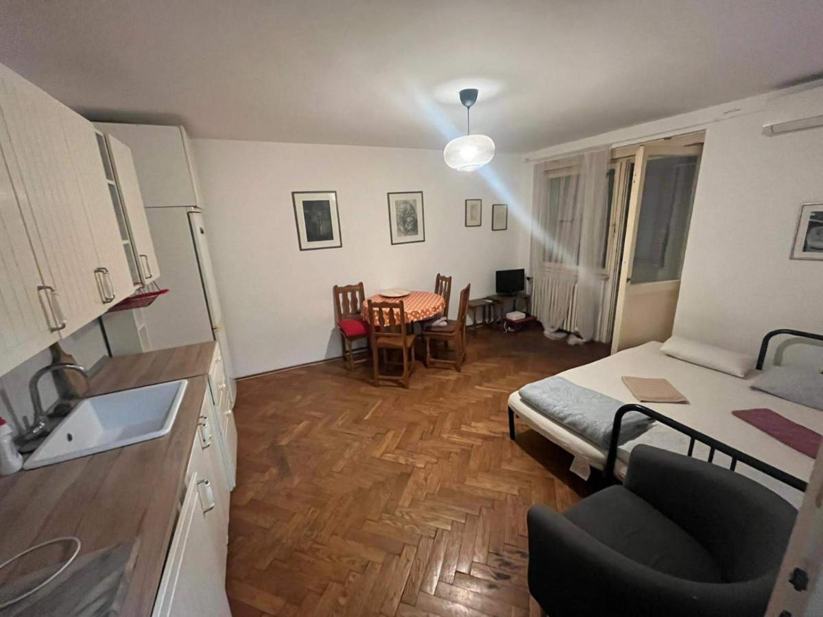 Downtown Belgrade Hostel And Apartments Экстерьер фото